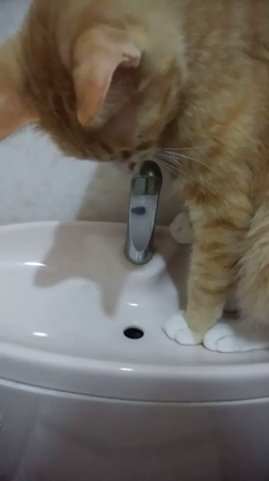 今日は曇り、道路の雪はなくなりました。の記事動画