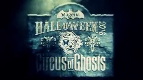 10.29.SAT Halloween 2016@新木場ageHaの記事動画