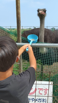 毎食心配の夏休み(^_^;)の記事動画