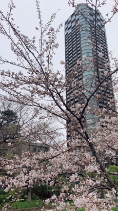 3/25(木)はAzure45でフレンチへの記事動画