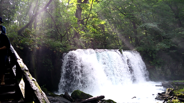 癒され日～.｡.:*･ﾟの記事動画