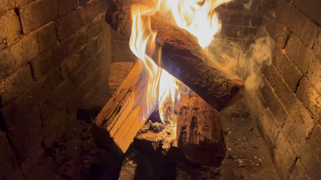 混んでてビックリ！の記事動画