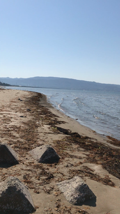 ■ 昔の「惨めだった自分」が癒されていくのがわかった^ ^の記事動画