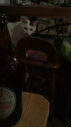 唯一遊んでくれた 君に。の記事動画