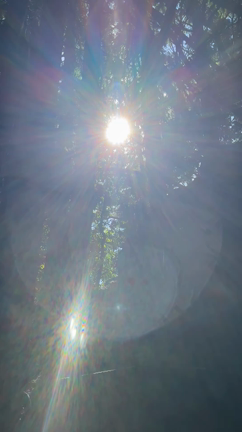 初開催⭐︎御岩神社参拝ツアー③の記事動画