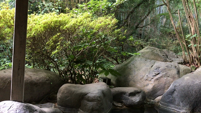 夏の音の記事動画