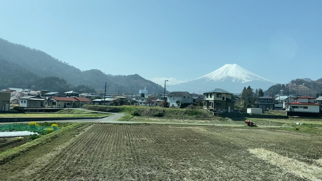 1人旅　新倉山浅間公園で花見してきたよ！の記事動画