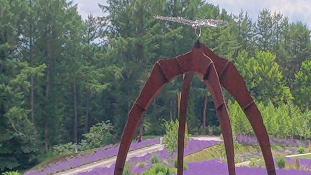 花とアートの森フェスタ2022♪の記事動画