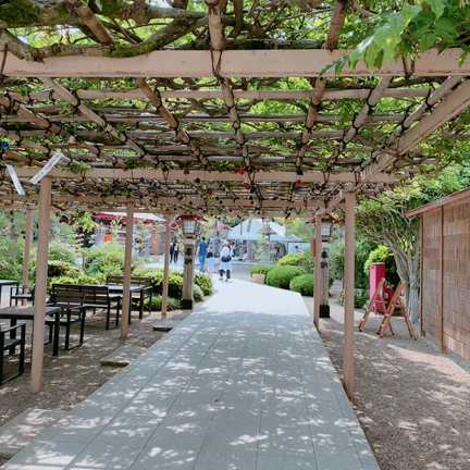 パワースポットに行ってきました☆の記事動画