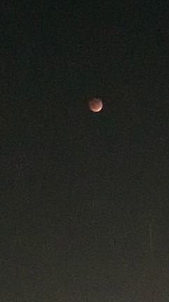 月蝕の記事動画