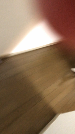 近況報告とボヘミアン・ラプソディ♬の記事動画