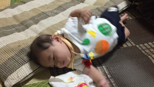 ついに！の記事動画