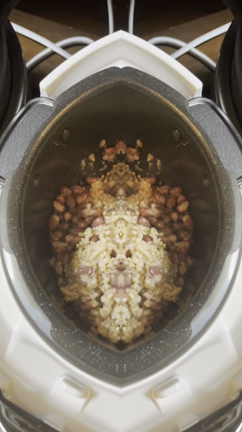 寝かせ玄米！の記事動画