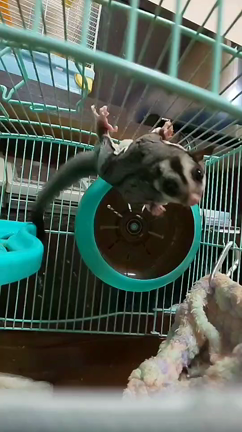 おやつの記事動画