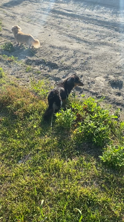 ブラ〇〇〇の記事動画