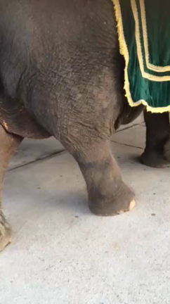 続！バンコクブログの記事動画
