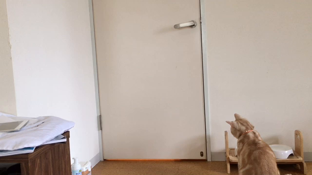 ドアを開ける    ガネーシャの記事動画