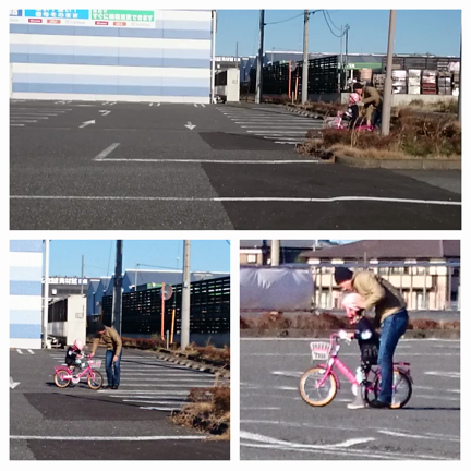 元旦。の記事動画