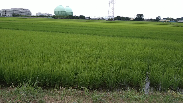 リバーサイドホテル3の記事動画