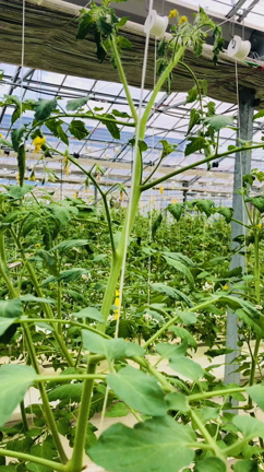 吊り下げの記事動画