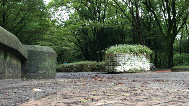 ざ、男の朝練 動画もういっぱつ  名城公園は蚊との戦いの記事動画