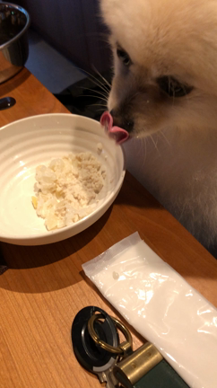 不思議なこと。の記事動画