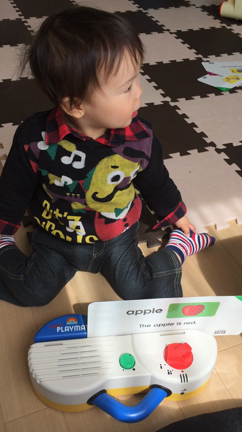 アポーの記事動画