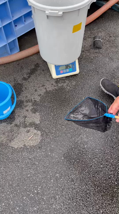 july30、august2の記事動画