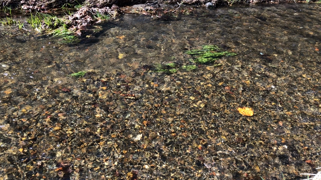 さんぽ2の記事動画