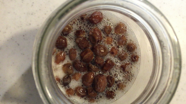 愛しの酵母ちゃん❤︎の記事動画