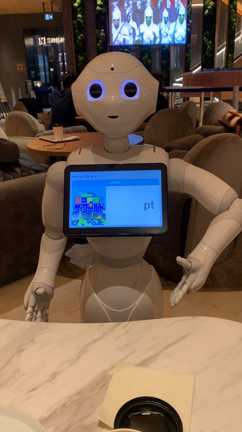 ペッパーパーラーへの記事動画