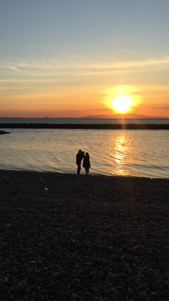 夕日familyの記事動画