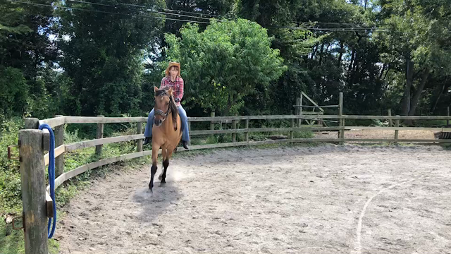 裸馬 | jameelのブログ