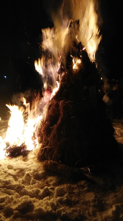 昨日の夜のサイド焼きの記事動画