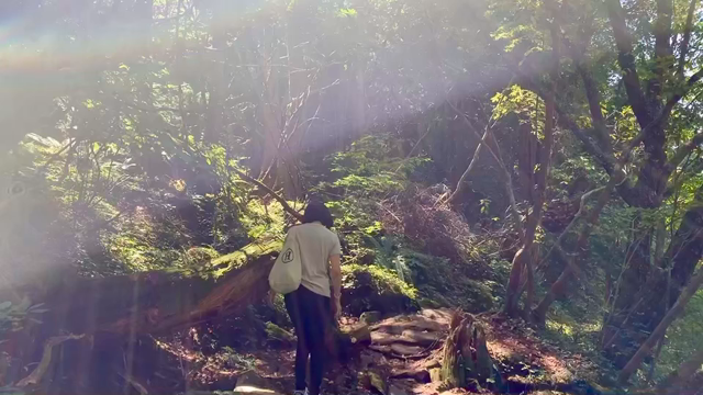 Let it beの記事動画