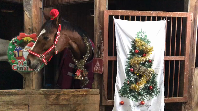 メリークリスマスの記事動画