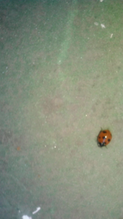 遠方より友来る！此れまた楽しからずや➰の記事動画