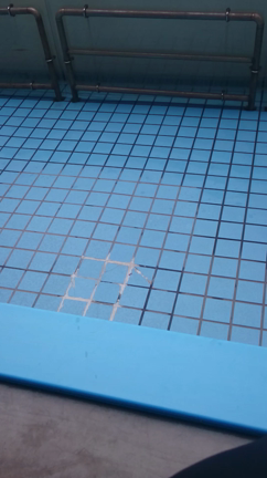 福井観光～①～byゆきえの記事動画