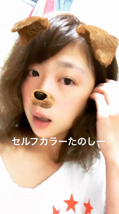 セルフカラーまたもやの記事動画