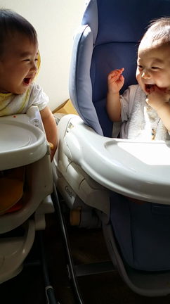 離乳食椅子の選び方、双子っちと三男の違いの記事動画