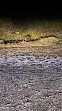 キン肉マン 現わる！！の記事動画