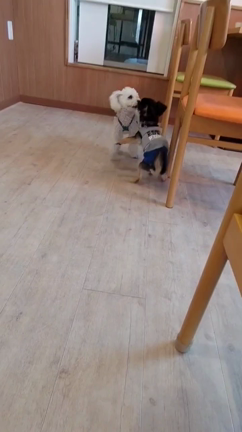 スイミング＆ワンプロの記事動画