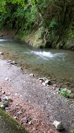 ⭐log８　予定外のキャンプ。の記事動画