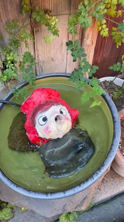 広島県福山市へ②の記事動画