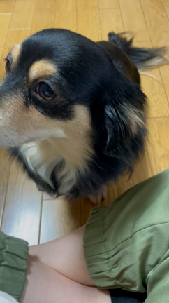 デュトロ　チェンジ入り不良　+番外編（多め）の記事動画