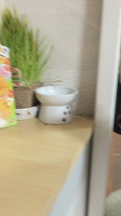 みりんちゃんバースデー☆の記事動画