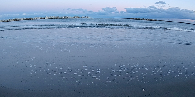 穏やか釣り日和の記事動画