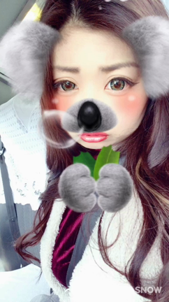 新幹線な毎日。。の記事動画