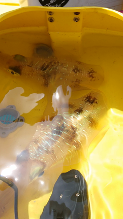 2021.4.11 オフショア♪(ｏ・ω・)ノ))の記事動画