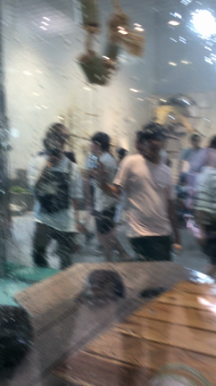 たぴおかの記事動画